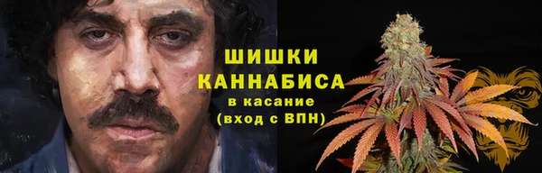 PSILOCYBIN Арсеньев