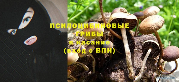 PSILOCYBIN Арсеньев