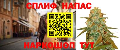 индика Славянск-на-Кубани