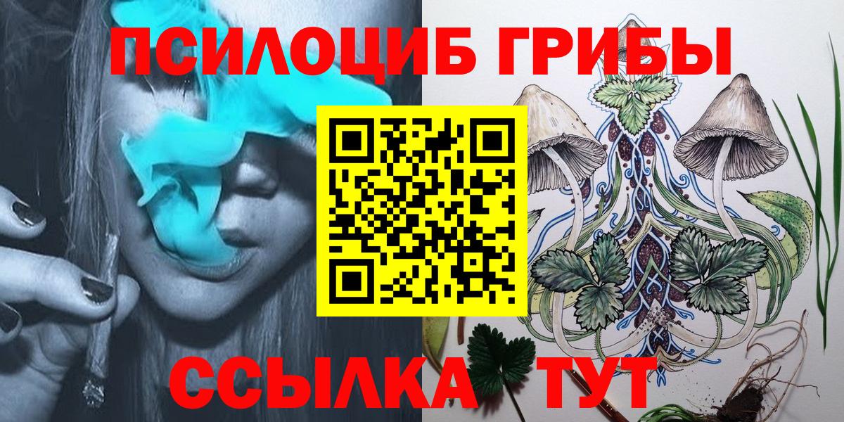 Псилоцибиновые грибы Cubensis  Вход с VPN  Новодвинск 