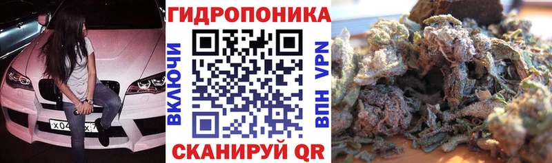 закладки Новодвинск Бошки Шишки White Widow